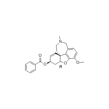 MGB-BP-3