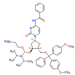 Bz-dC亚磷酰胺单体