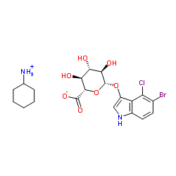 5-溴-4氯-3-吲哚-β-D-葡萄糖苷酸环己胺盐