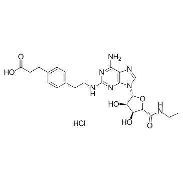 CGS 21680盐酸盐