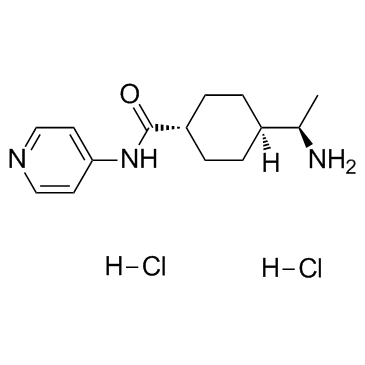 Y 27632 二盐酸盐