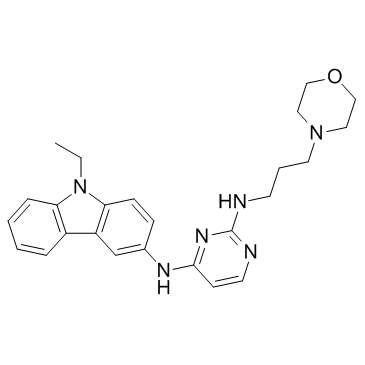 EHop-016