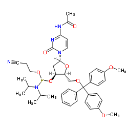 Ac-dC亚磷酰胺单体