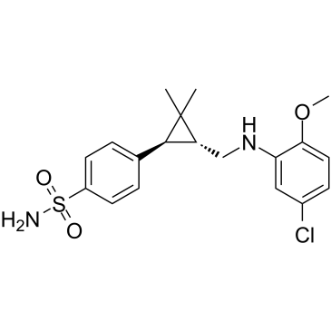 BNC375