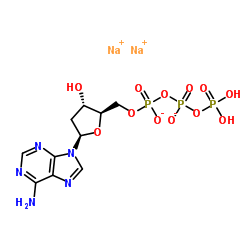 2'-脱氧腺苷 5'-三磷酸酯