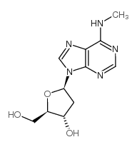 N6-甲基-2'-脱氧腺苷