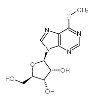 6-甲硫基嘌呤核苷
