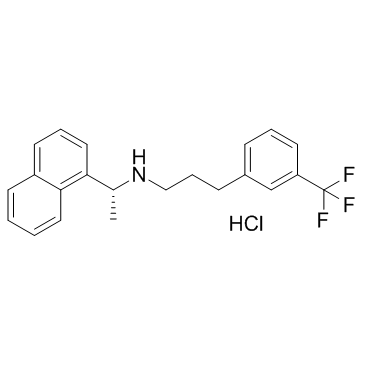 盐酸甲状旁腺激素