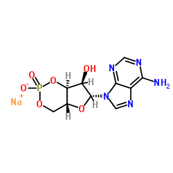 腺苷-3',5'-环磷酸酯钠