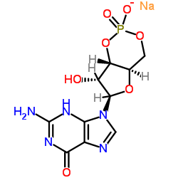 鸟苷-3ˊ,5ˊ-环磷酸一钠盐