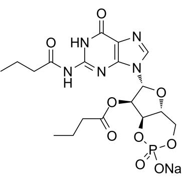 N2,2-O-双丁酰鸟苷3,5-环磷酸钠盐二水