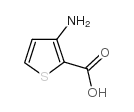 3-氨基-2-噻吩甲酸