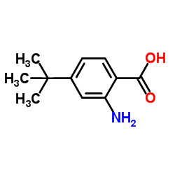 2-氨基-4-(1,1-二甲基乙基)-苯甲酸