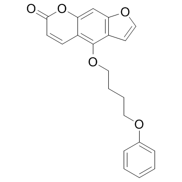 PAP-1