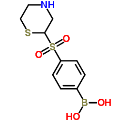 4-(硫代吗啉磺酰)苯基硼酸