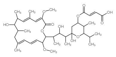 Bafilomycin C1