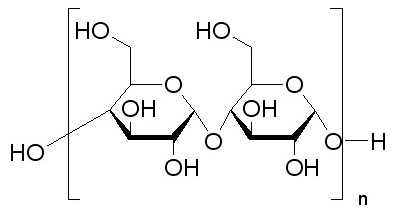 淀粉