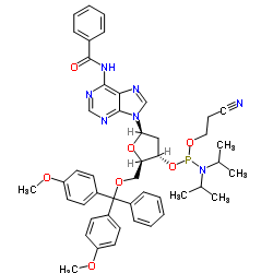 Bz-dA 亚磷酰胺单体