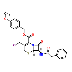 7-苯乙酰氨基-3-氯甲基-4-头孢烷酸对甲氧基苄酯