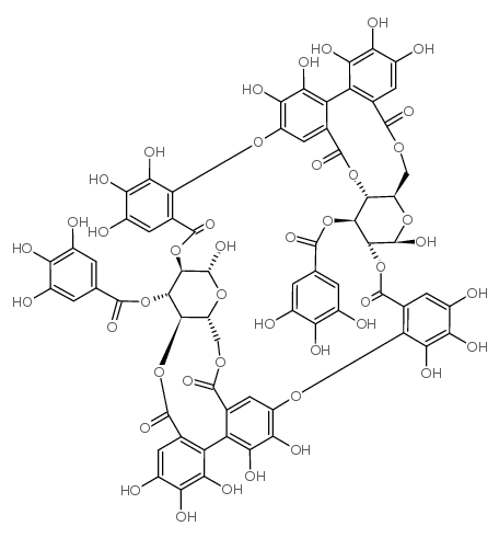 月见草素 B