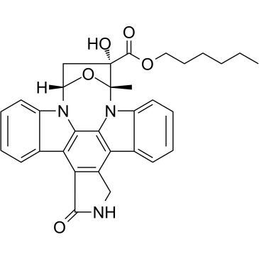蛋白激酶仰制剂KT5720