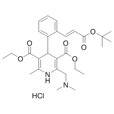 盐酸Teludipine
