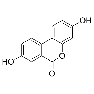 尿石素A