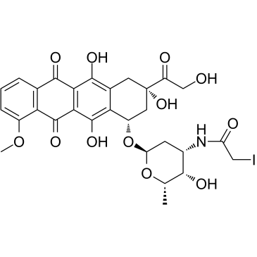 N-(Iodoacetamido)-Doxorubicin