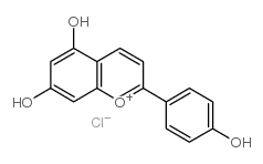 氯化芹菜定