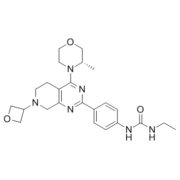 N-ETHYL-N'-[4-[5,6,7,8-四氢-4-[(3S)-3-甲基-4-吗啉基]-7-(3-氧杂环丁基)吡啶并[3,4-D]嘧啶-2-基]苯基