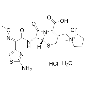 盐酸头孢吡肟