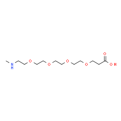 甲胺基-三聚乙二醇-羧酸