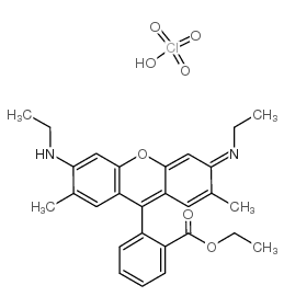 若丹明6G高氯酸盐