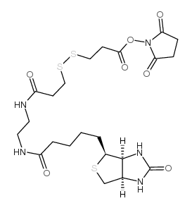 3-[3-[2-(生物素酰胺)乙基]氨基-3-氧代丙基]二硫基]丙酸琥珀酰亚胺酯