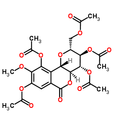 五乙酸岩白菜素酯