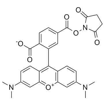 6-羧基四甲基罗丹明琥珀酰亚胺酯