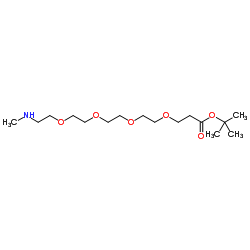 Methylamino-PEG4-Boc