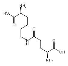 Epsilon-(gamma-glutamyl)-lysine