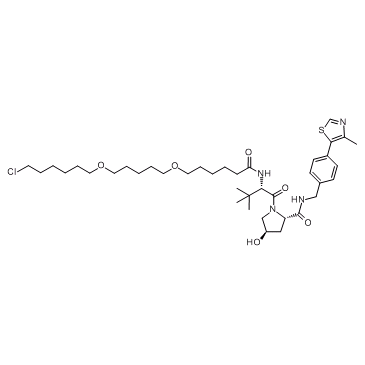 E3连接酶Ligand-Linker共轭物11