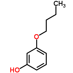 4-正丁氧基苯酚