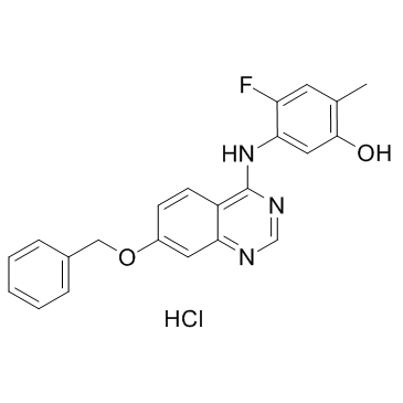 5-[(7-苄氧基喹唑啉-4-基)氨基]-4-氟-2-甲基苯酚盐酸盐