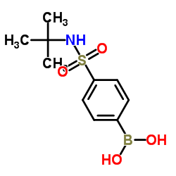 4-硼苯磺酰胺叔丁酯