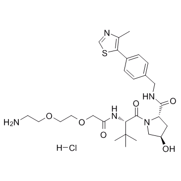 E3连接酶Ligand-Linker共轭物6