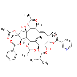 2,5,14-三乙酰氧基-3-苯甲酰基氧基-8,15-二羟基-7-异丁酰氧基-9-烟酰氧基-6(17),11E-麻风树属二烯