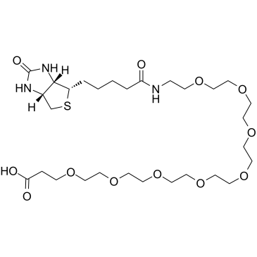 Biotin-PEG8-acid