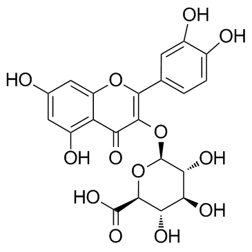 槲皮素-3-O-葡萄糖醛酸苷