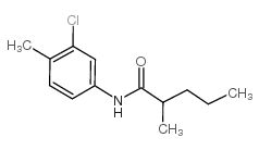 蔬草灭