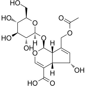 车叶草苷酸