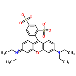 磺酰罗丹明B