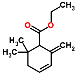 6,6-二甲基-2-亚甲基-3-环己烯-1-羧酸乙酯